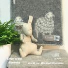 Small and Little Blankets